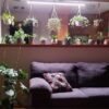 22w White Full Spectrum Grow Light