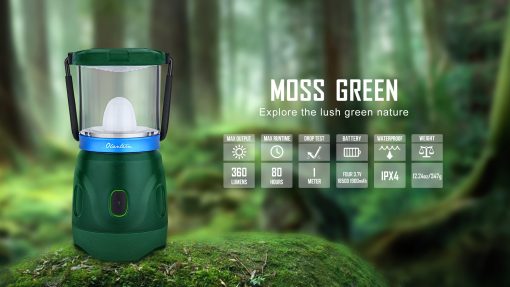 O'lantern Moss Green